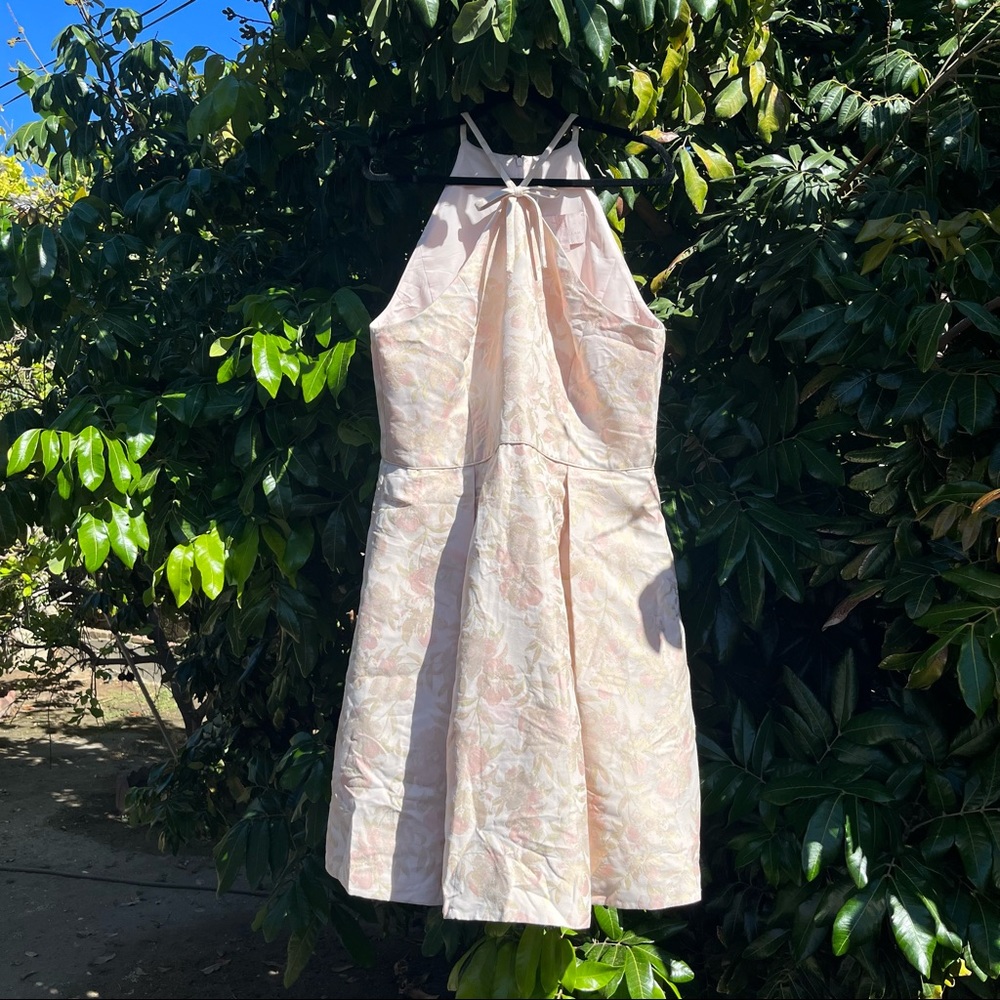 Gal Meets Glam Light Pink Floral Mini Dress